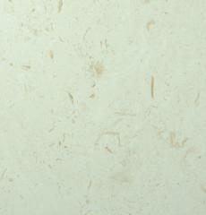 Fossil Beige